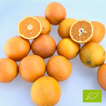 Cubotto Orange Valencia - Orange Ovale BIO (8+3,5) 11,5 kg
