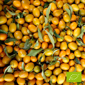 Schale Kumquat BIO 250 g