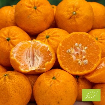 Cubetto Mandarine Ciaculli BIO 6 kg