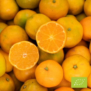 Cubotto Clementine BIO 12 kg