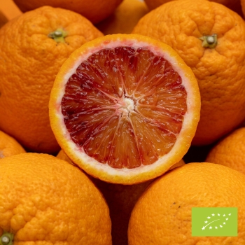 Cubetto Orange Moro GROß BIO 6 kg