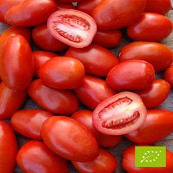 Schale Datteltomaten BIO 500 gr