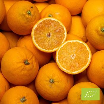 Cubetto Orange Tarocco BIO 6 kg