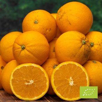 Cubetto Orange Lane Late BIO 6 kg