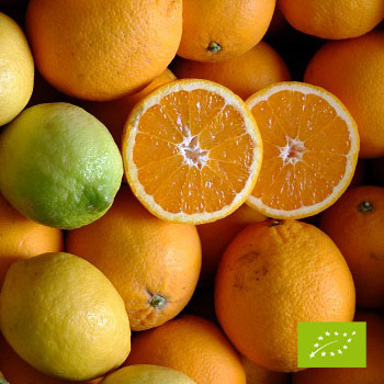Cubotto Orange Valencia - Zitrone BIO (9,5+2) 11,5 kg